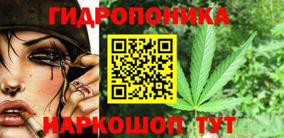 хмурый Брянск